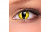 Anvisa proíbe lentes de contato coloridas usadas em fantasias